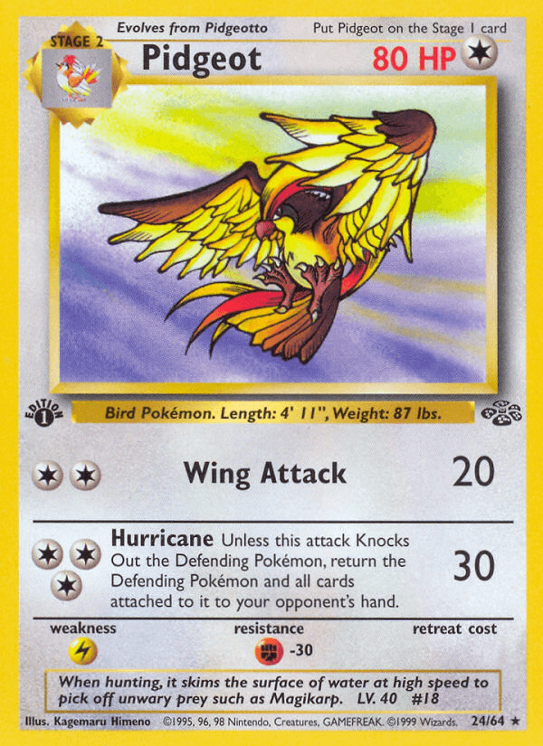 Pidgeot: Jungle