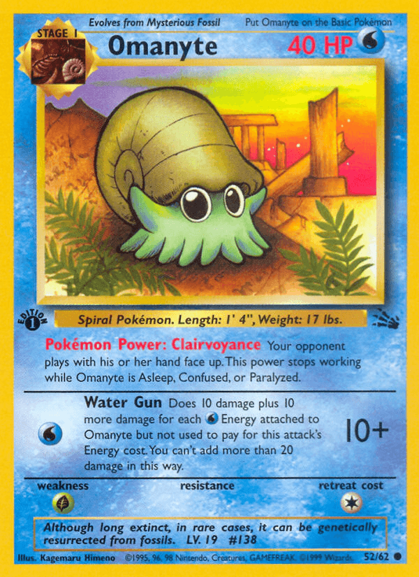 Omanyte: Fossil