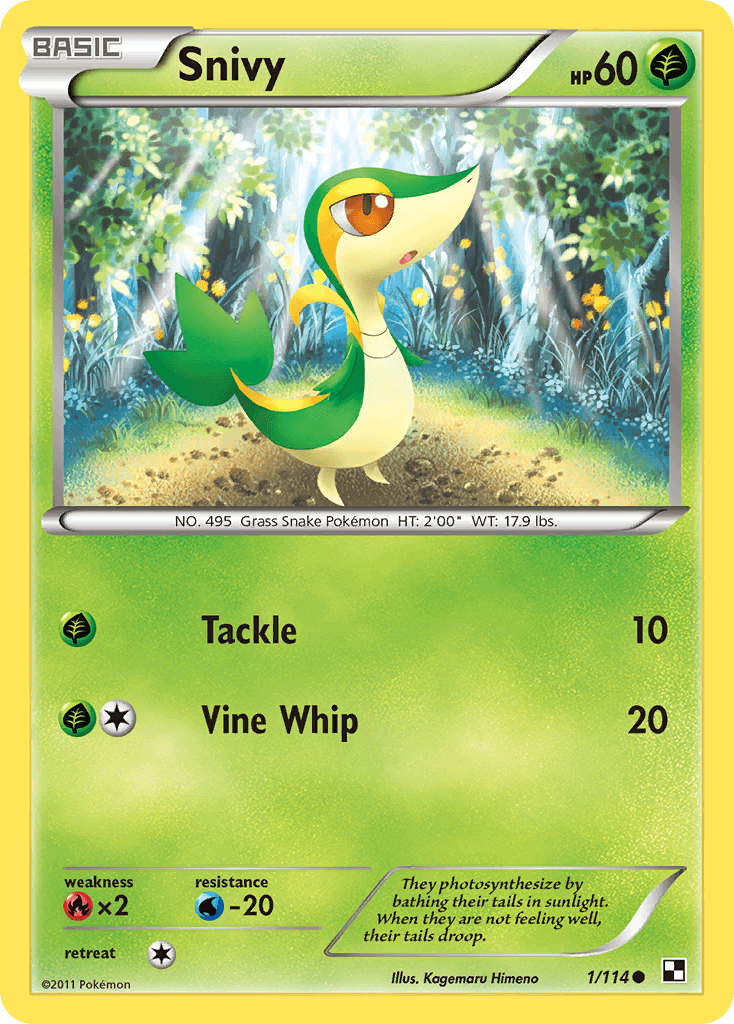 Snivy: Black & White