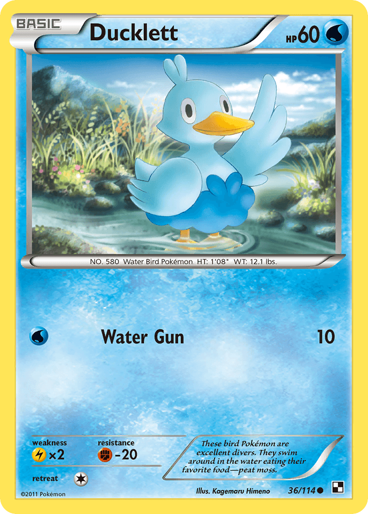 Ducklett: Black & White
