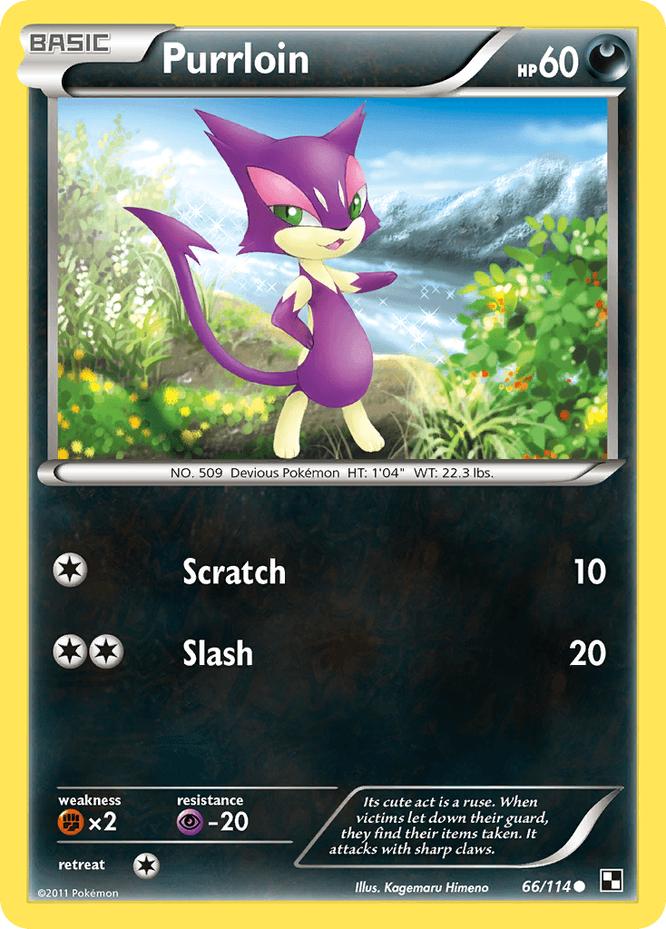 Purrloin: Black & White