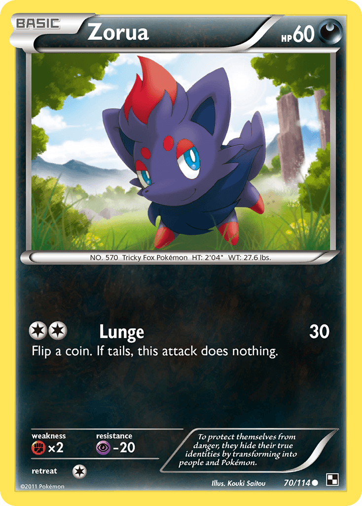Zorua: Black & White