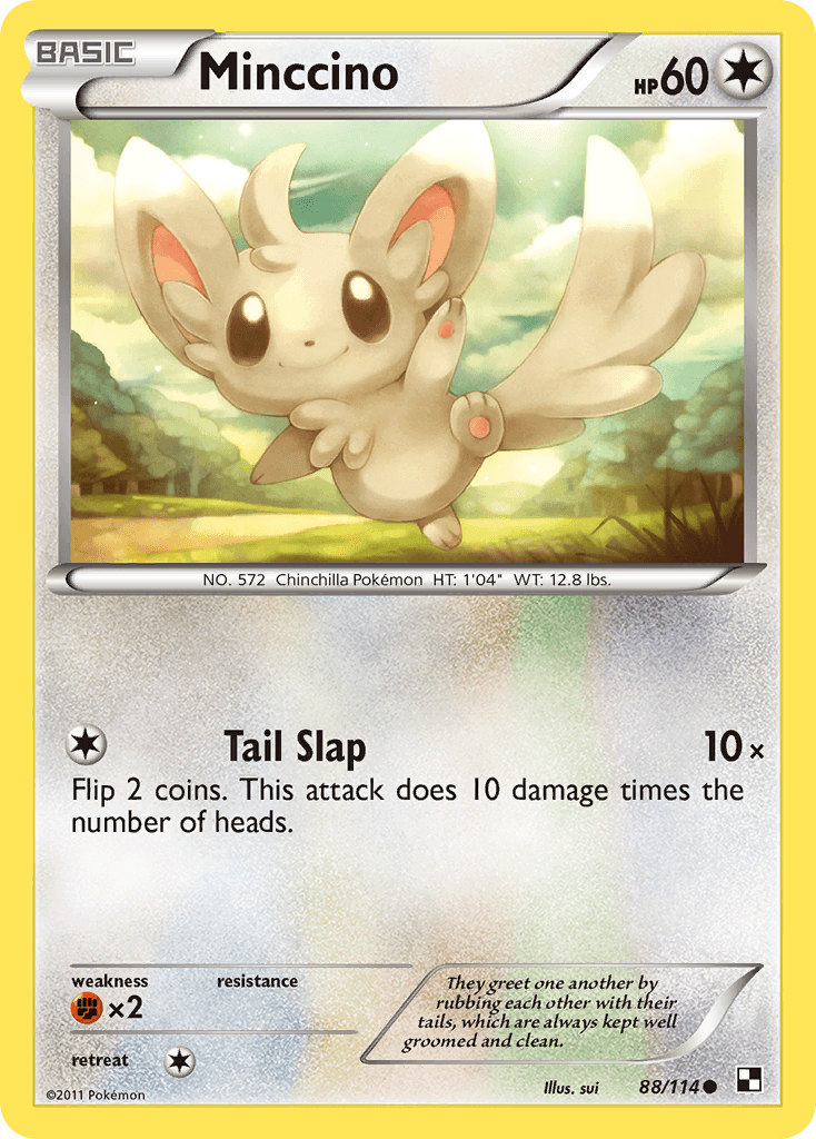 Minccino: Black & White