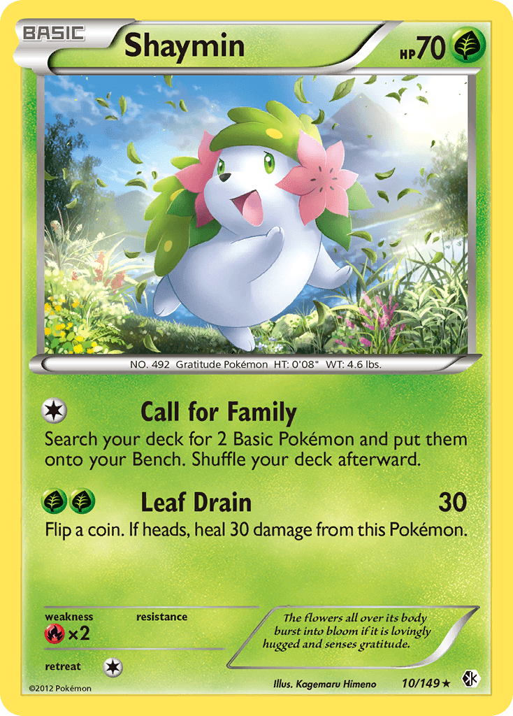 Shaymin: Boundaries Crossed