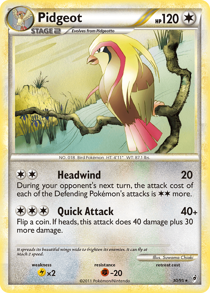 Pidgeot: Call of Legends