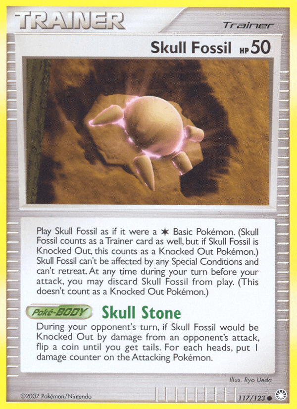 Skull Fossil: Mysterious Treasures