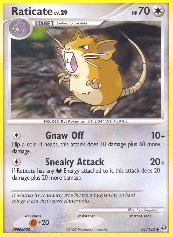 Raticate: Secret Wonders
