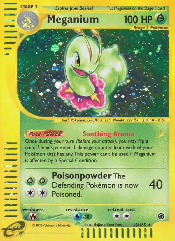 Meganium: Expedition Base Set