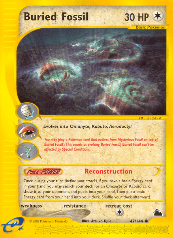 Buried Fossil: Skyridge