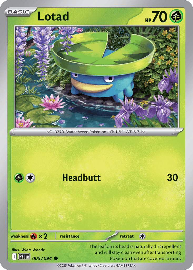 Lotad: Phantasmal Flames
