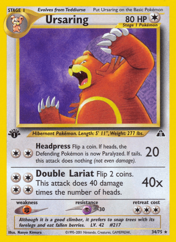 Ursaring: Neo Discovery