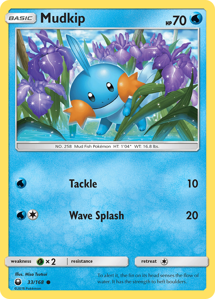 Mudkip: Celestial Storm