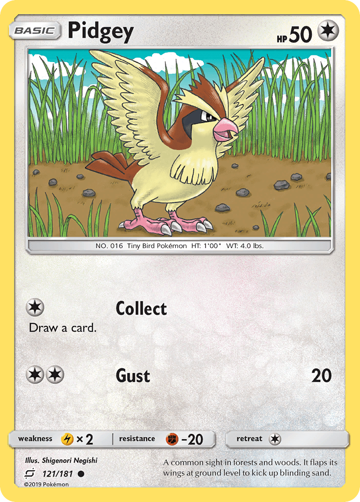 Pidgey: Team Up