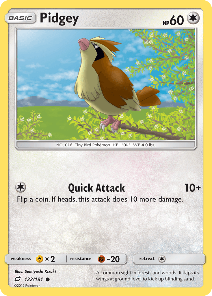 Pidgey: Team Up