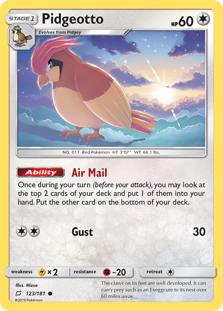 Pidgeotto: Team Up