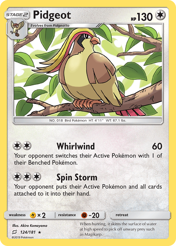 Pidgeot: Team Up