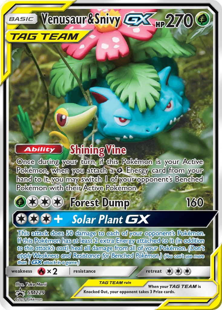 Venusaur & Snivy-GX: SM Black Star Promos