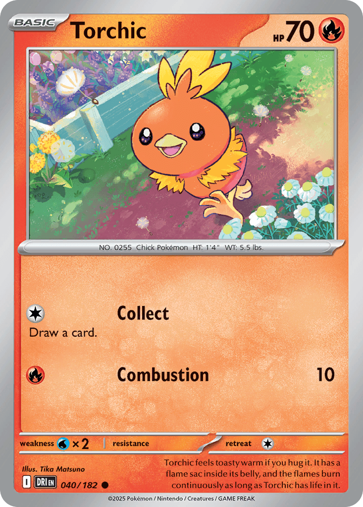 Torchic: Destined Rivals