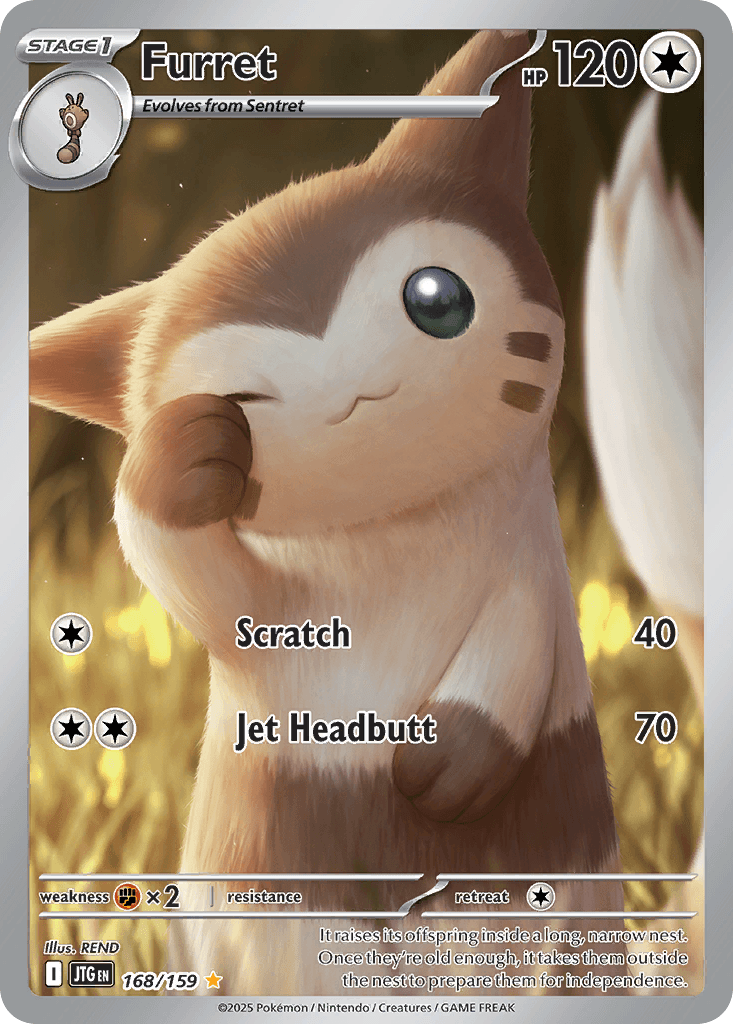 Furret: Journey Together