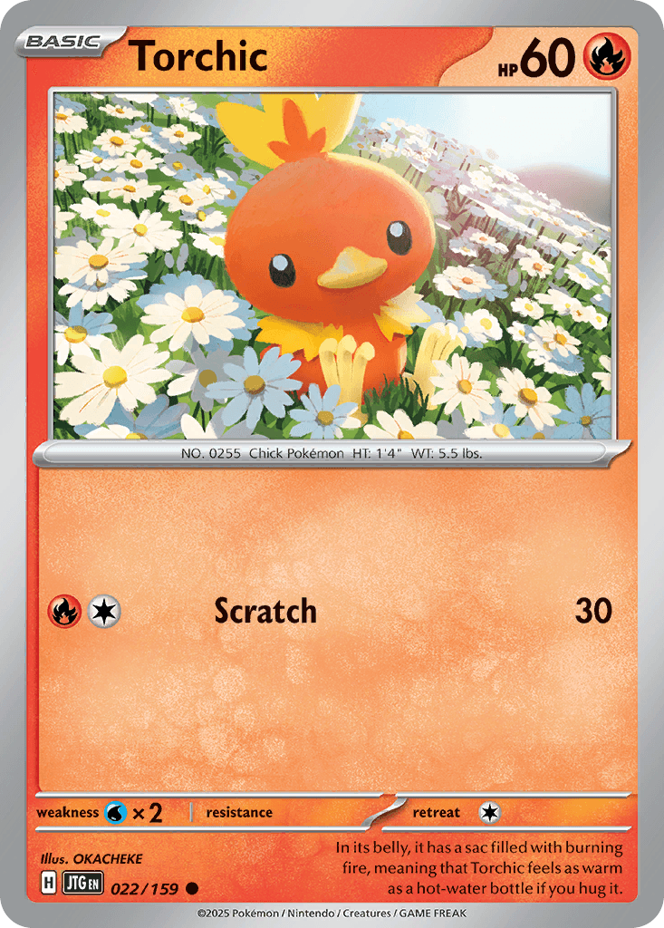 Torchic: Journey Together