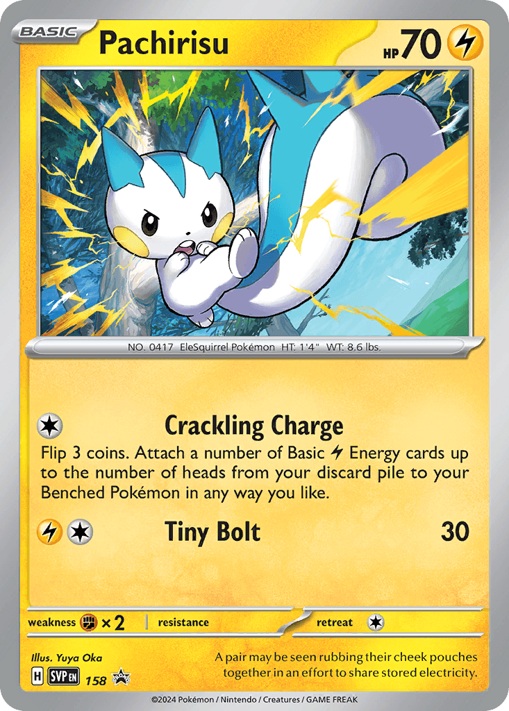 Pachirisu: Scarlet & Violet Black Star Promos