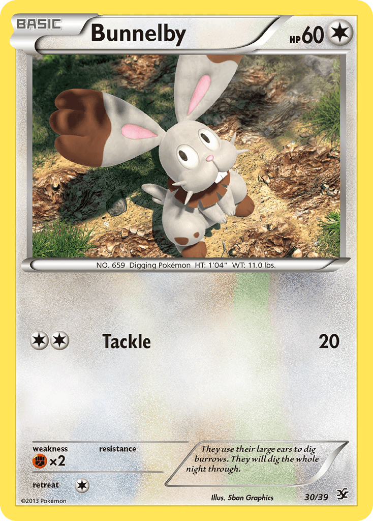 Bunnelby: Kalos Starter Set