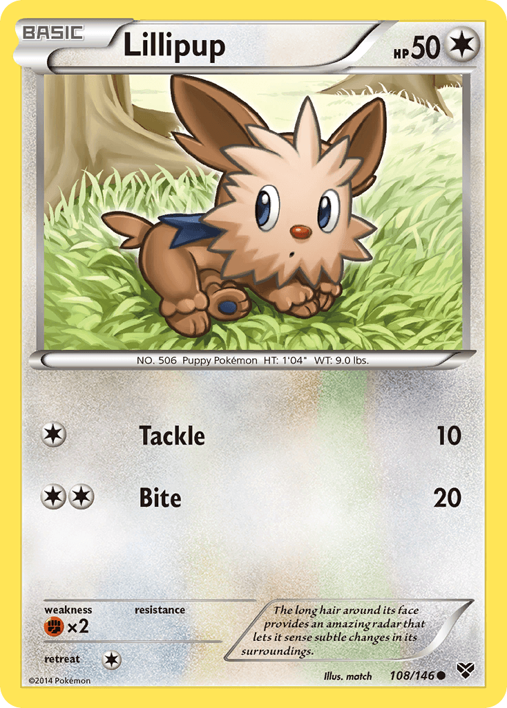 Lillipup: XY