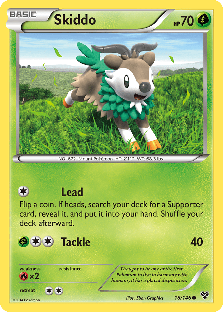Skiddo: XY