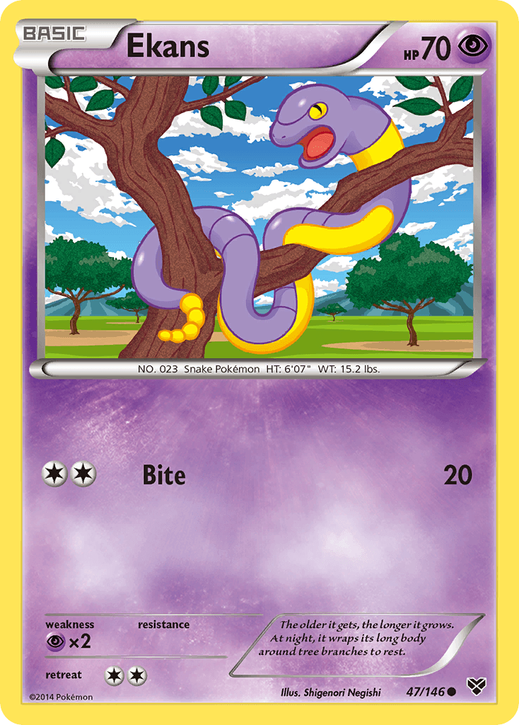 Ekans: XY