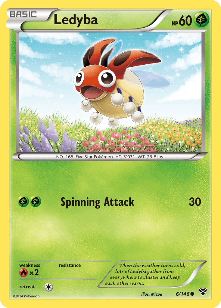 Ledyba: XY