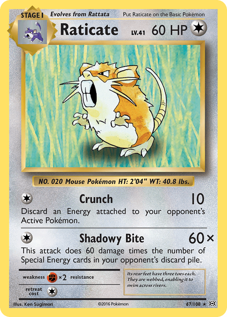 Raticate: Evolutions