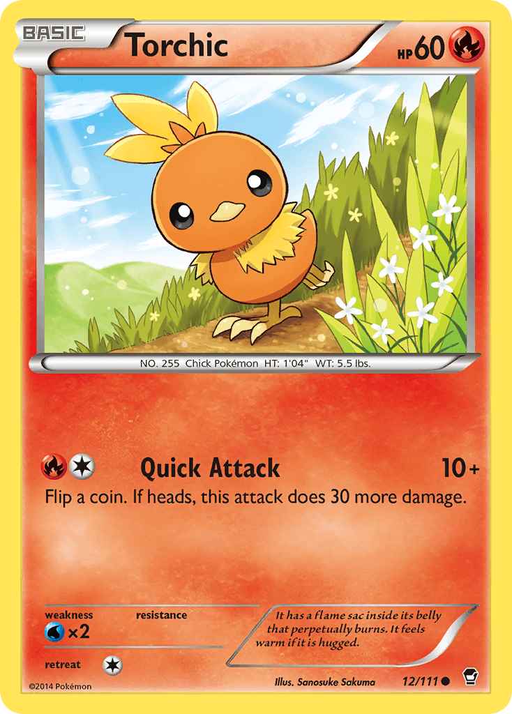 Torchic: Furious Fists