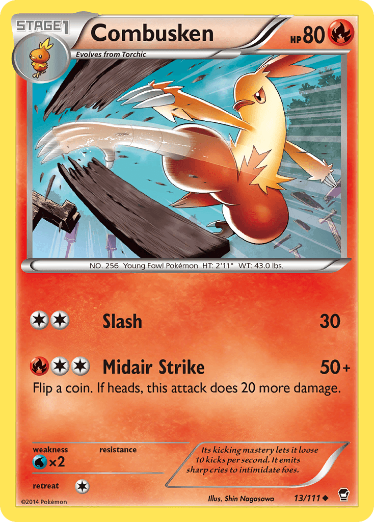 Combusken: Furious Fists