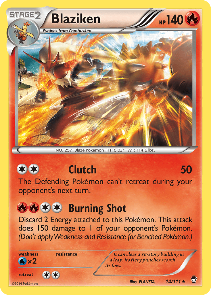 Blaziken: Furious Fists