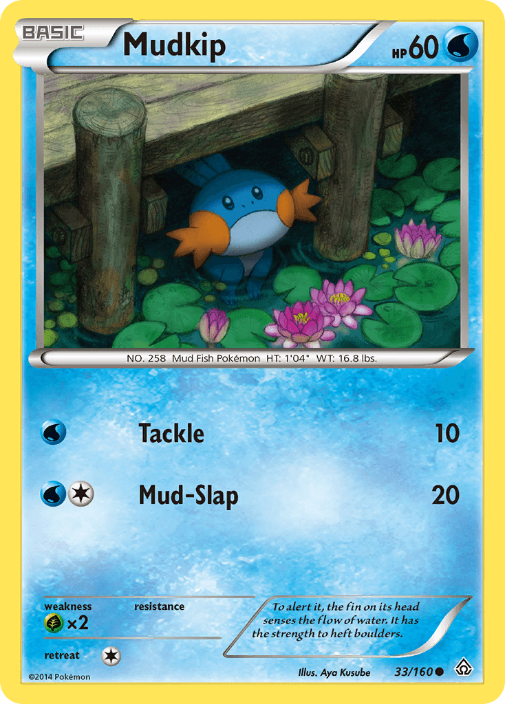 Mudkip: Primal Clash