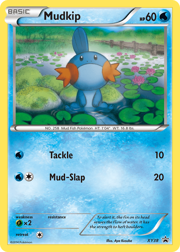 Mudkip: XY Black Star Promos