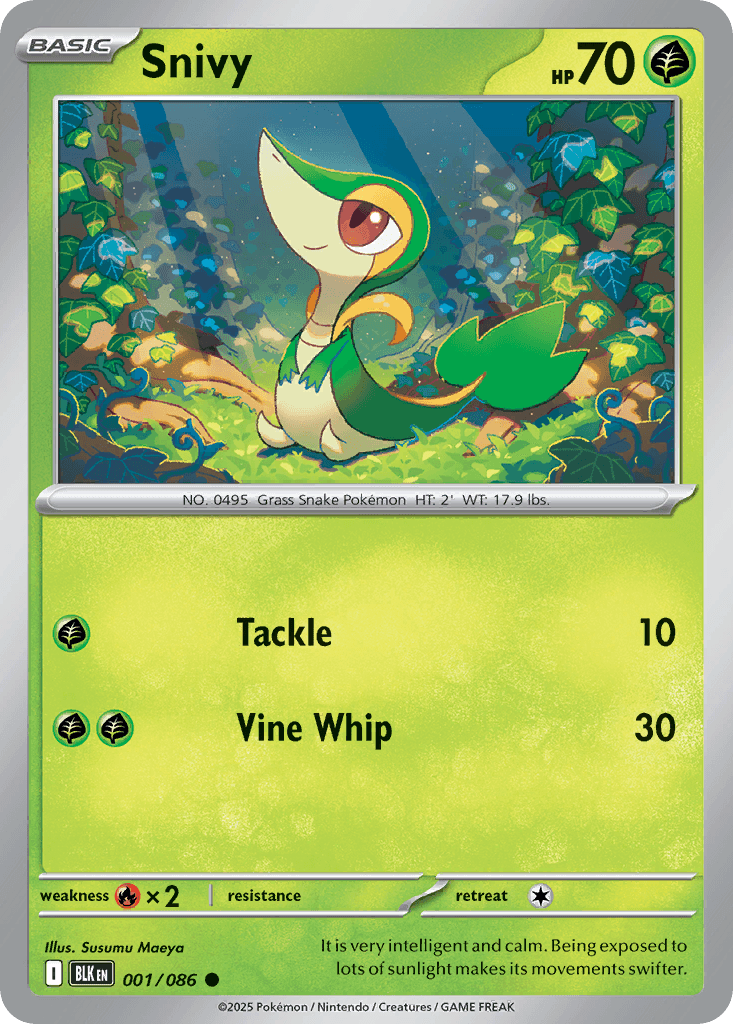 Snivy: Black Bolt
