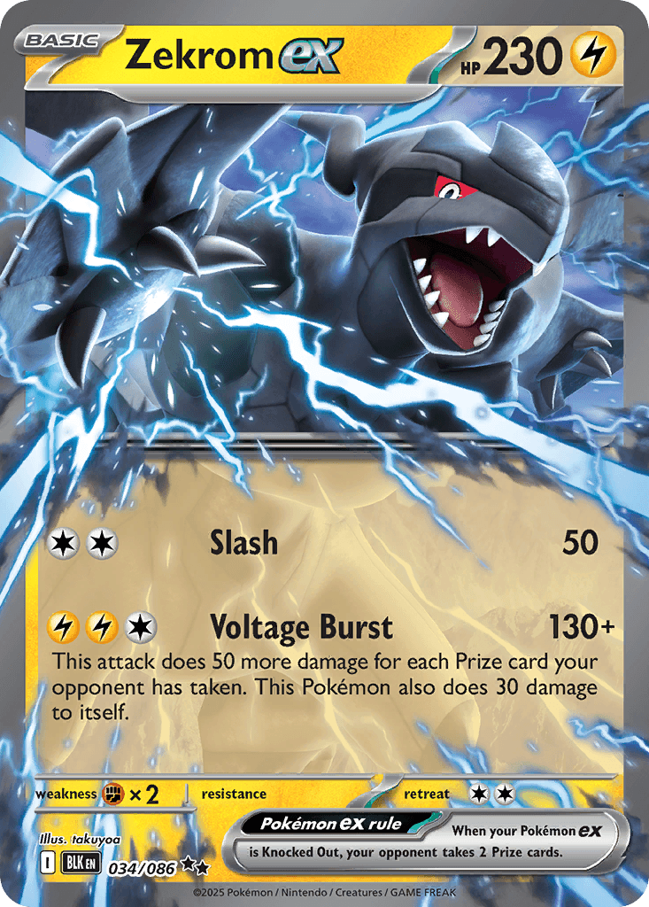 Zekrom ex: Black Bolt