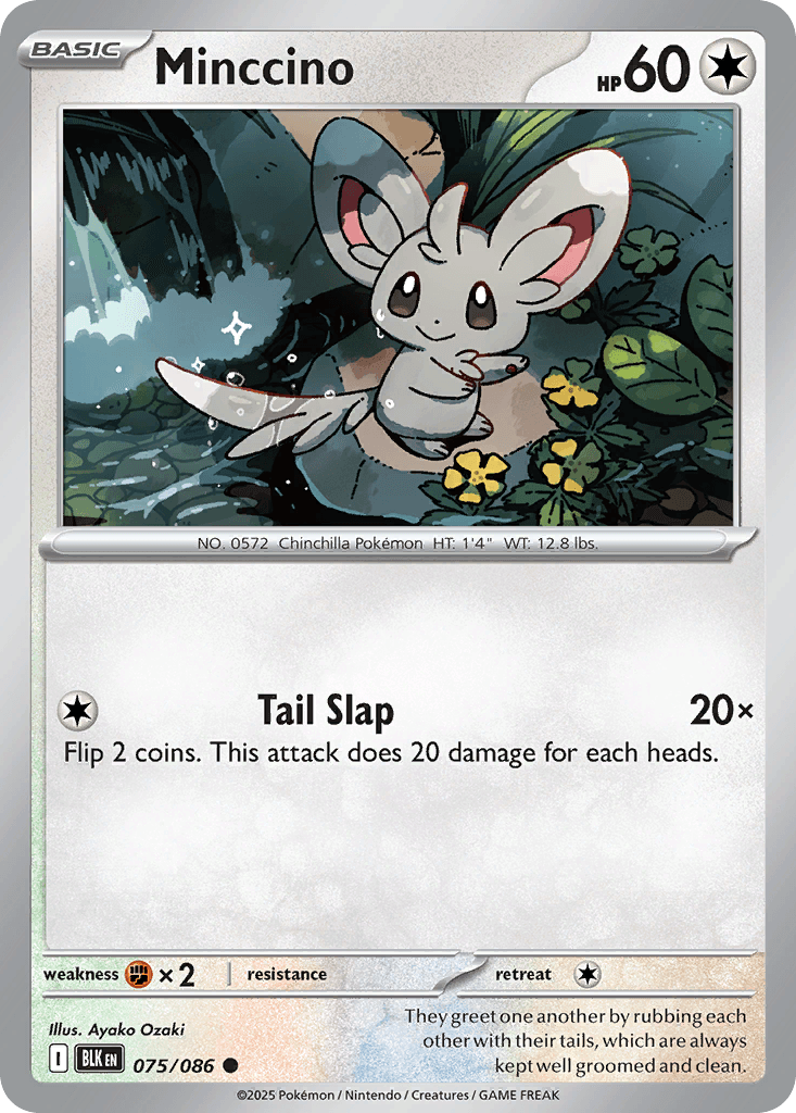 Minccino: Black Bolt