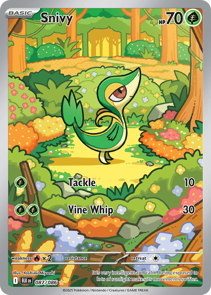 Snivy: Black Bolt