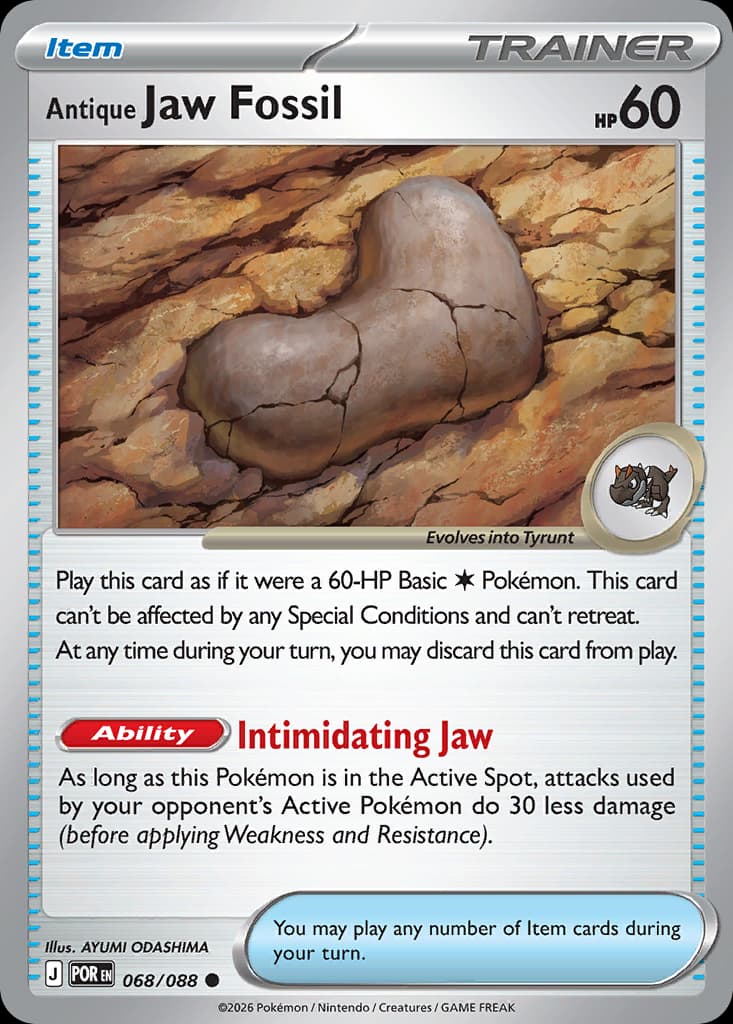 Antique Jaw Fossil: Perfect Order