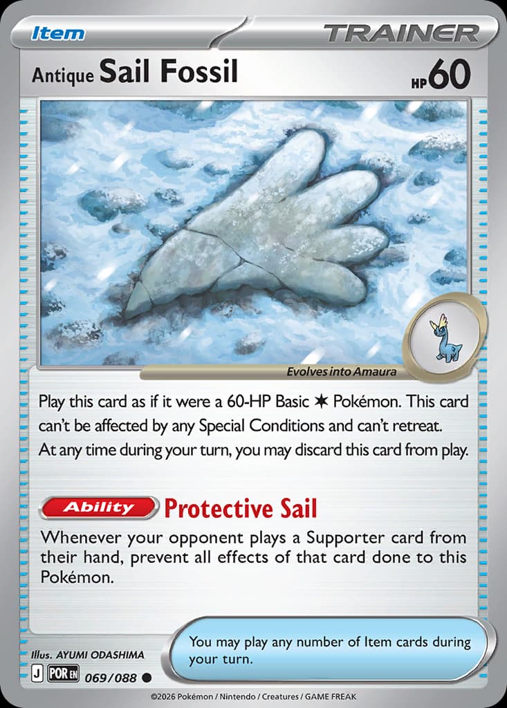 Antique Sail Fossil: Perfect Order