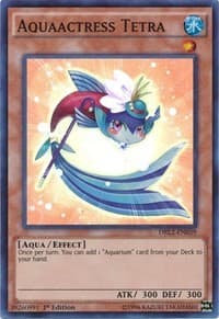 Aquaactress Tetra: Dragons of Legend 2