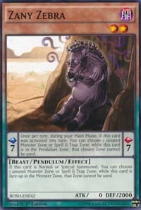 Zany Zebra: Breakers of Shadow