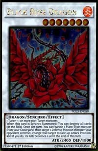 Black Rose Dragon: Premium Gold: Infinite Gold