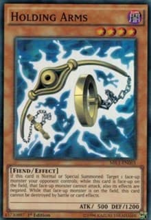 Holding Arms: Millennium Pack