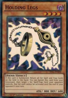 Holding Legs: Millennium Pack