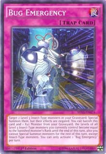 Bug Emergency: Shining Victories