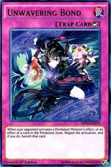 Unwavering Bond: Shining Victories