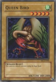 Queen Bird: Spell Ruler